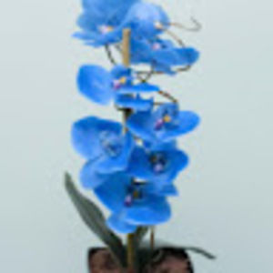 Meet your Posher, Eloisa